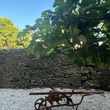 Refugio No Douro イン Nogueira e Ermida