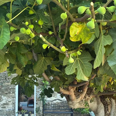イン Refugio No Douro *